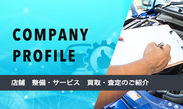 COMPANY PROFILE